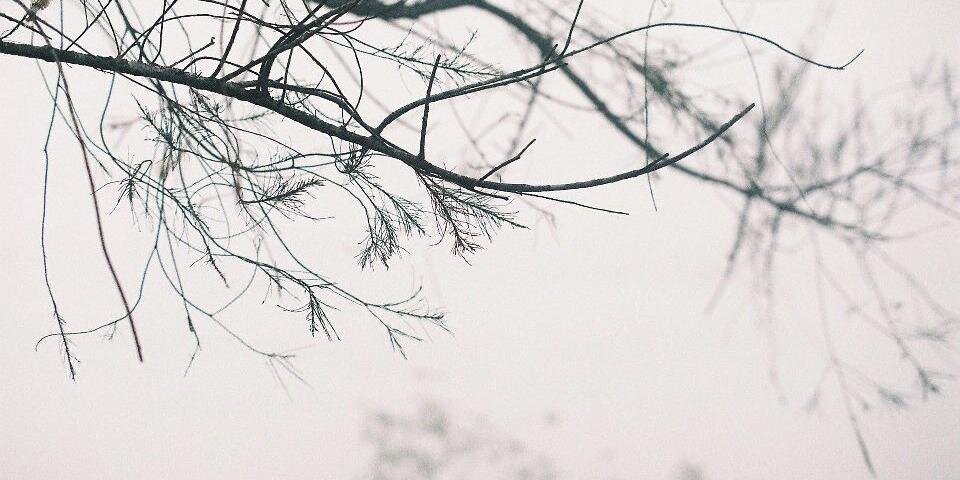 ajsalvan's profile banner image