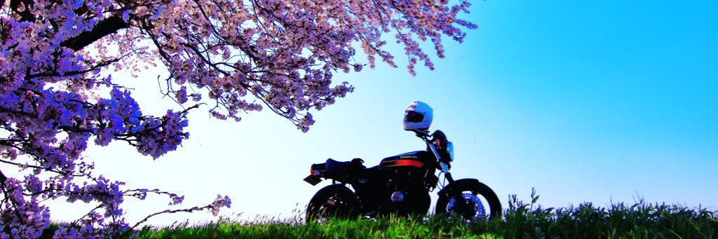 Ⓜ️ banner