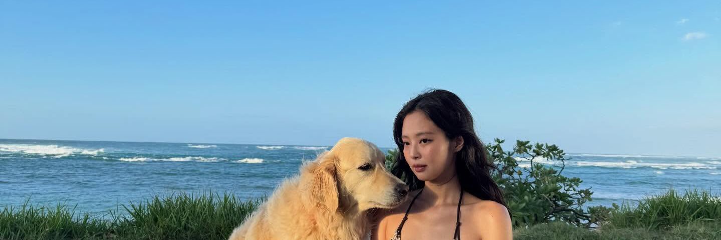 sunfrosie's profile banner image