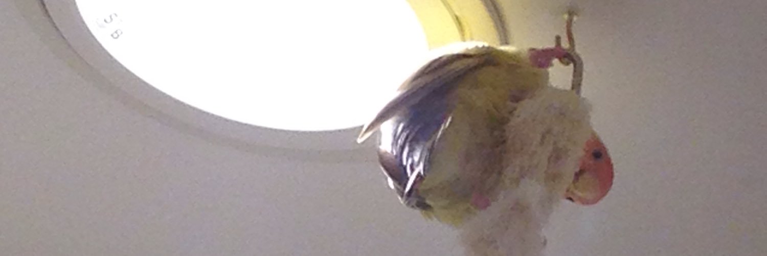 aziann0929's profile banner image