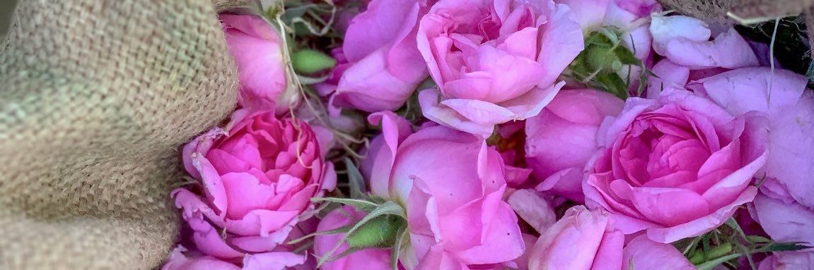 #الطائف_الآن banner