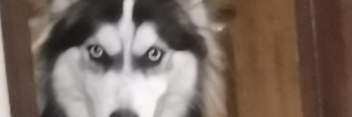 Ricardo B. banner