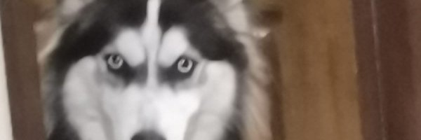 ragb1522 Profile Banner