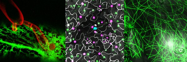 VolkerLipkaGOE Profile Banner