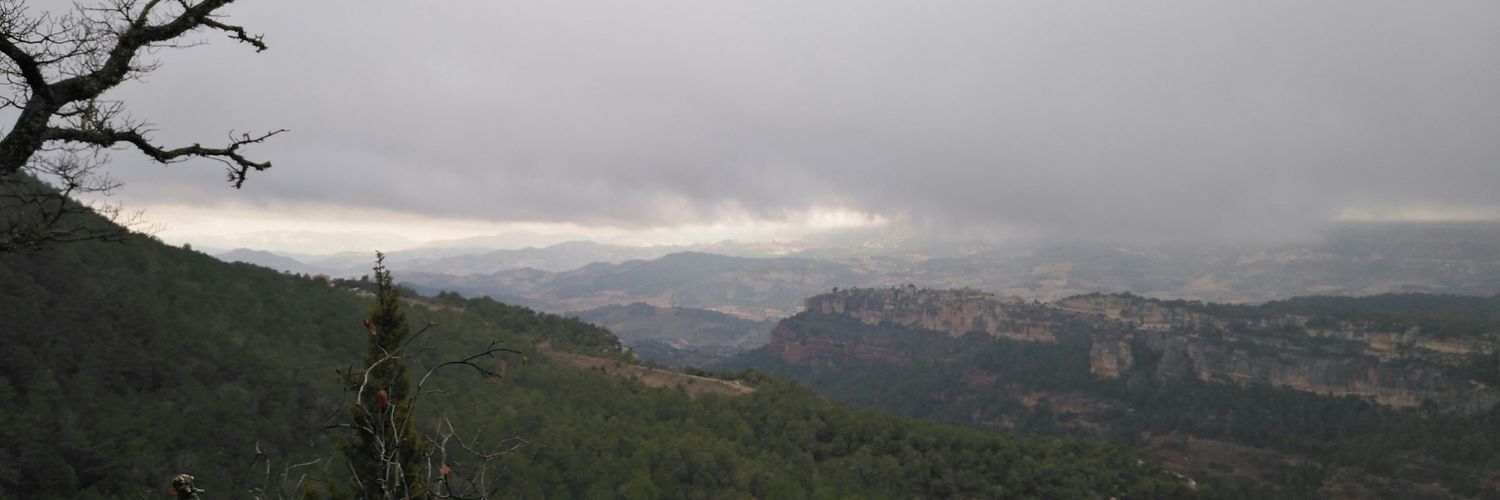 meritxellpm's profile banner image