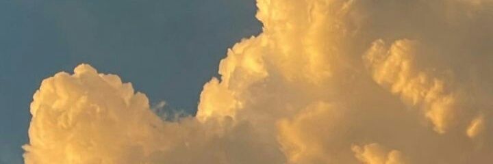 rheds_'s profile banner image