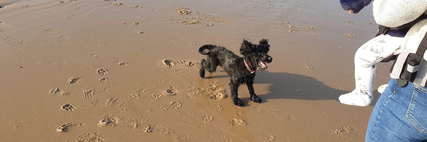 Francesca Dewing banner