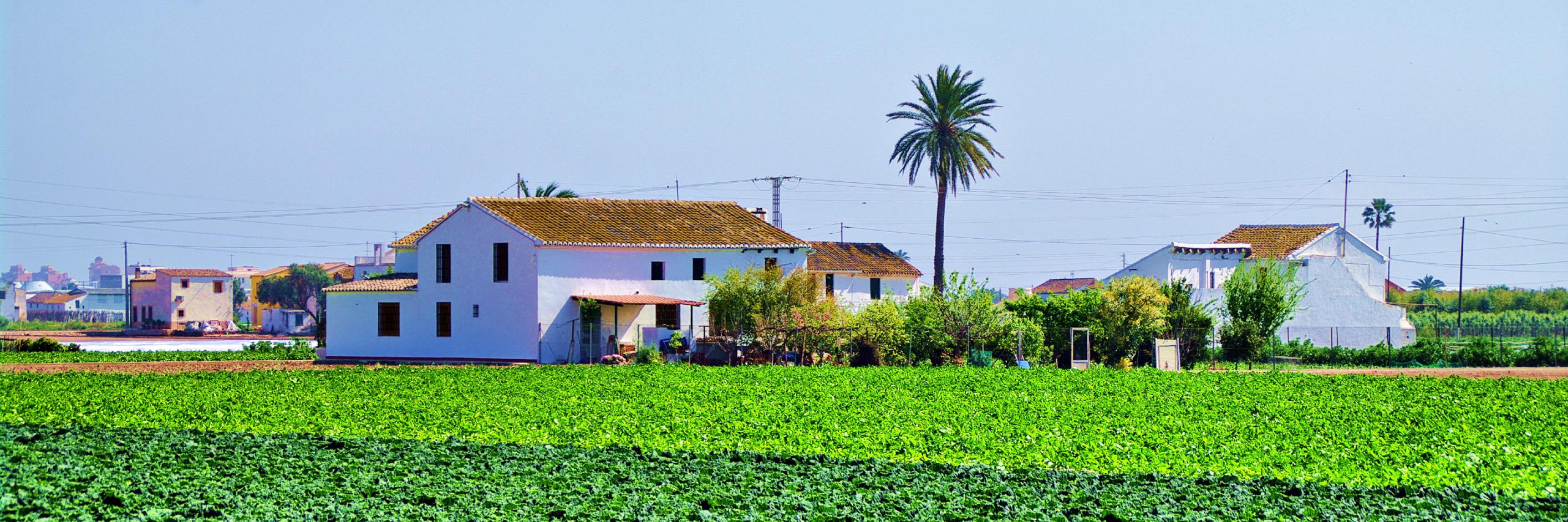 Francisco Cataluña C banner