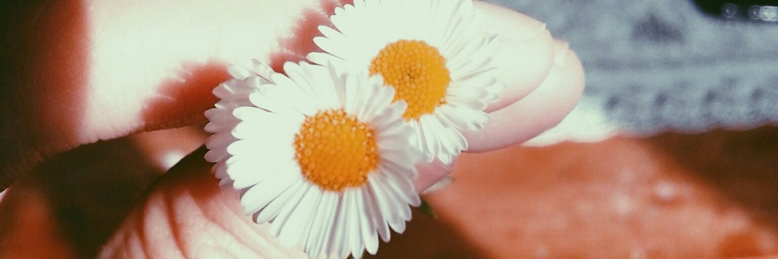 rayadwnta's profile banner image