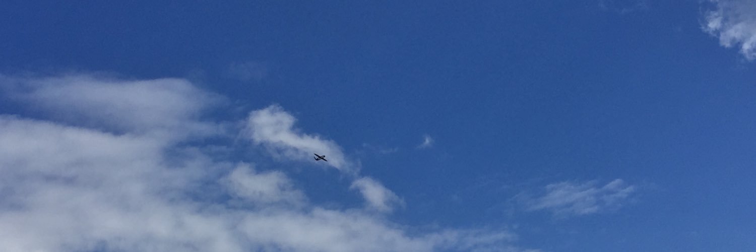 DroneDanmark banner