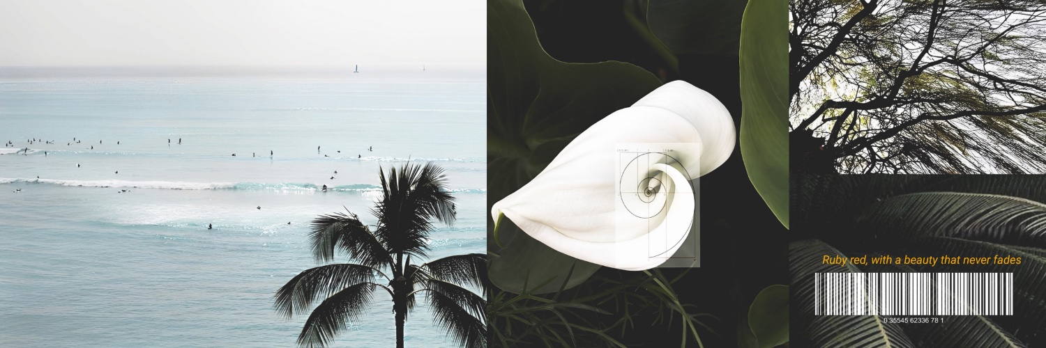 Kawwai's profile banner image
