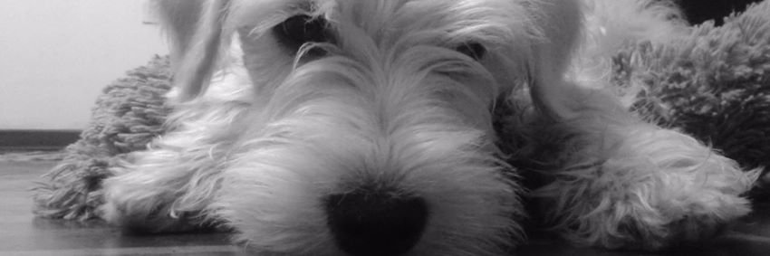 Maryorith Correa A.  banner