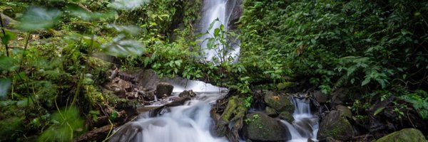 kevinconroy Profile Banner