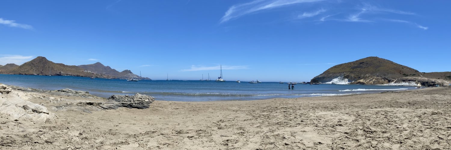 Paco banner