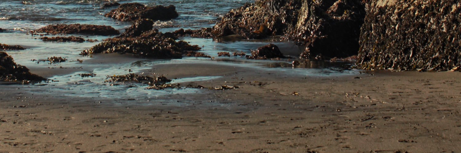 cvtrvm's profile banner image