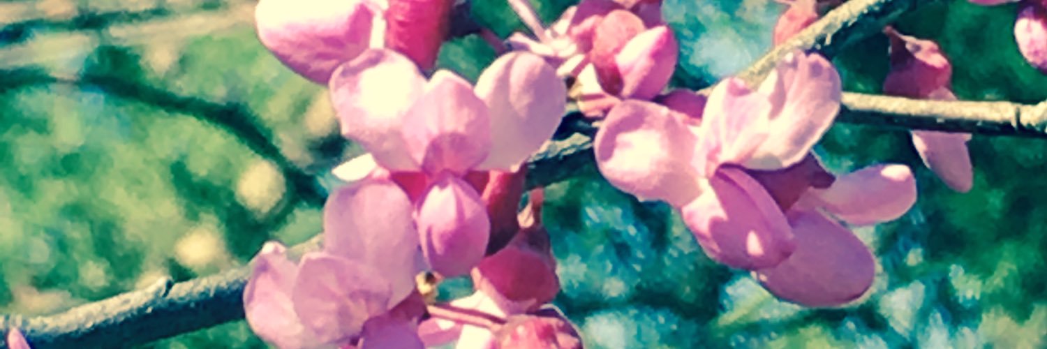 weems_savannah's profile banner image