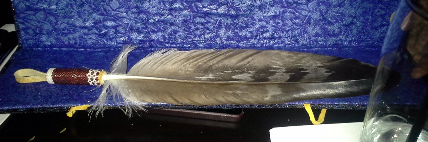 Krista Tucker Petrick (she/her) banner