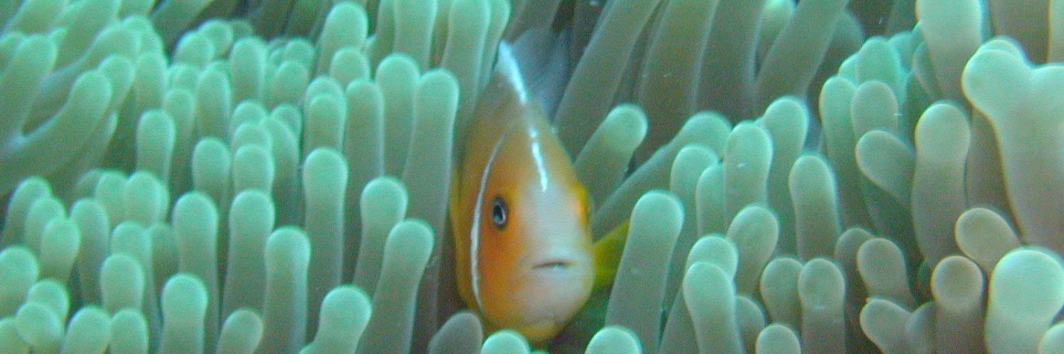 あっこ👛@ハチロク🎱 banner