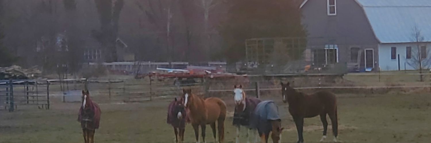 ThomasC79687512's profile banner image