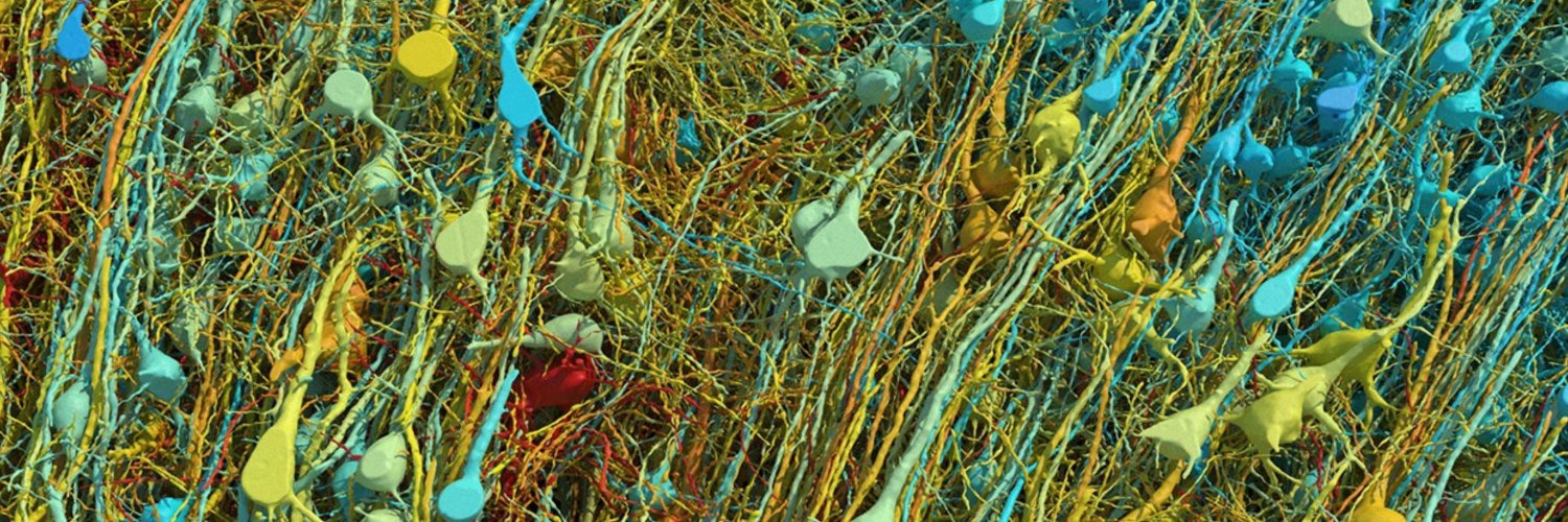 Carrie C Henderson banner