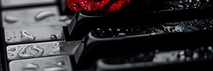 jojo_w0's profile banner image