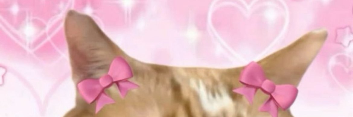 soyysteff's profile banner image