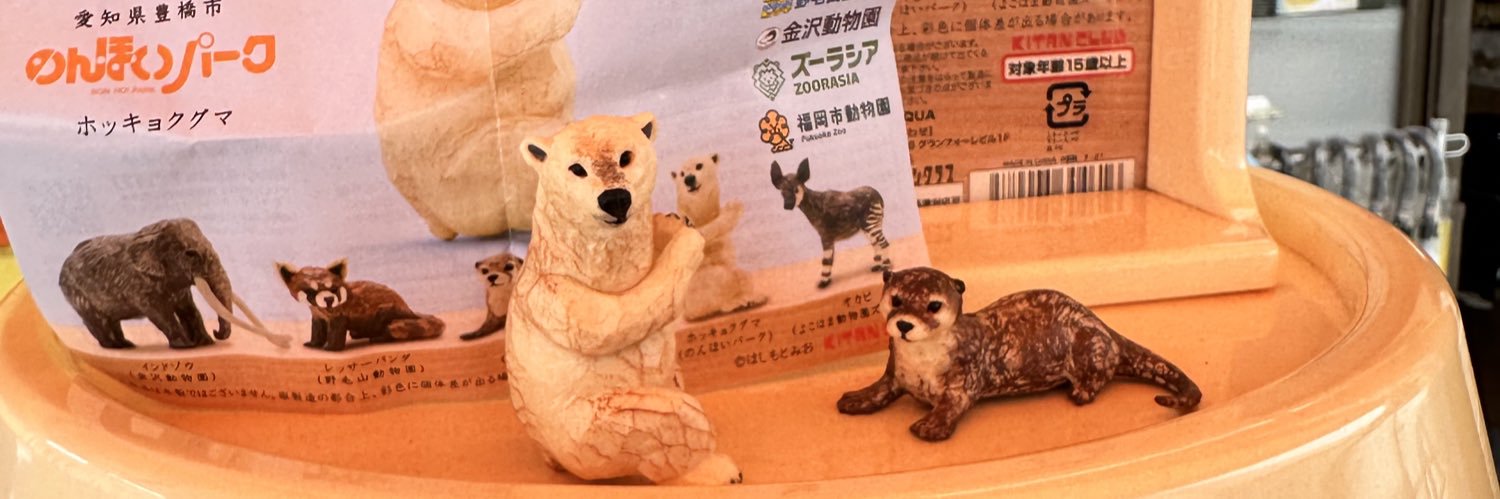 剛力猫目 banner