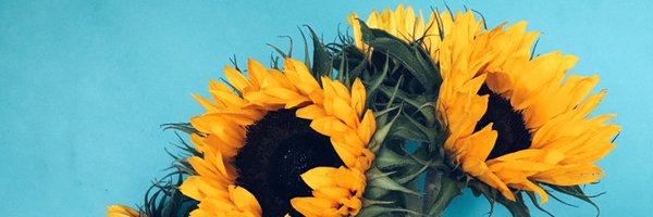 KandyyLandd Profile Banner