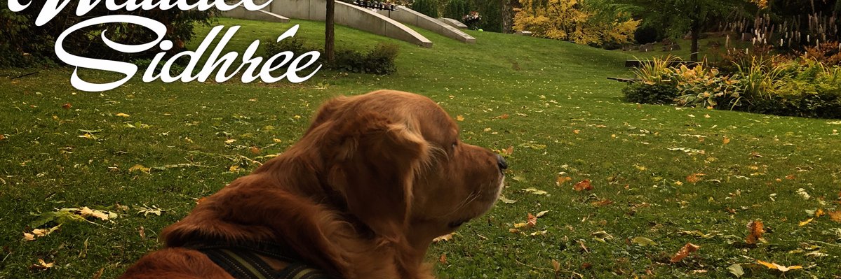 sidhree's profile banner image