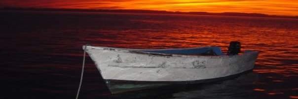 1 of the lost 99% banner