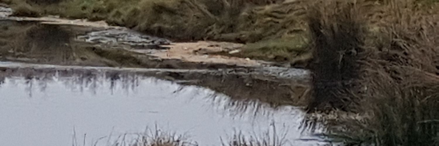 Stephen Cameron banner