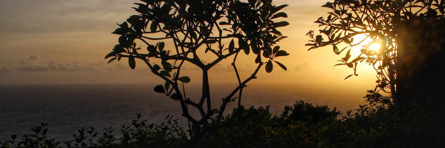 spilling_beans's profile banner image