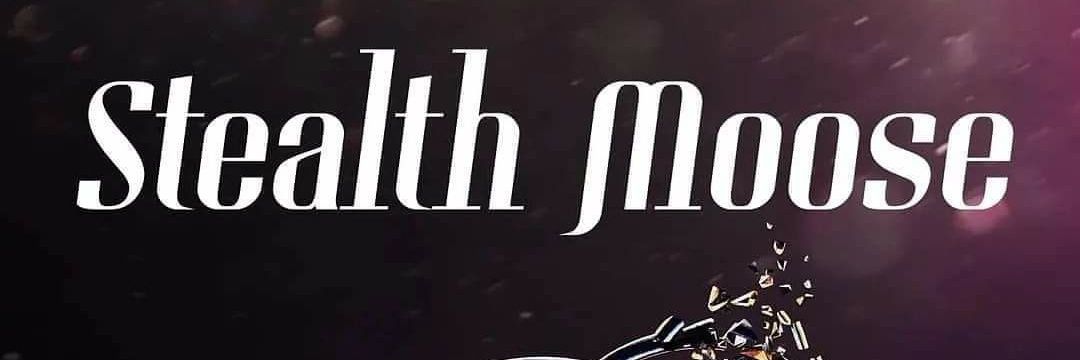 Stealth Moose Band banner