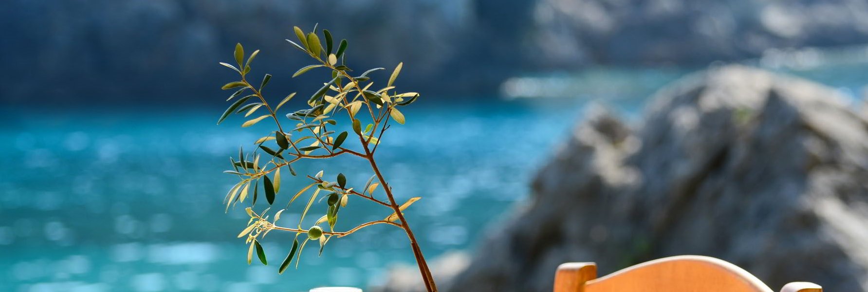 ChCatalina1's profile banner image