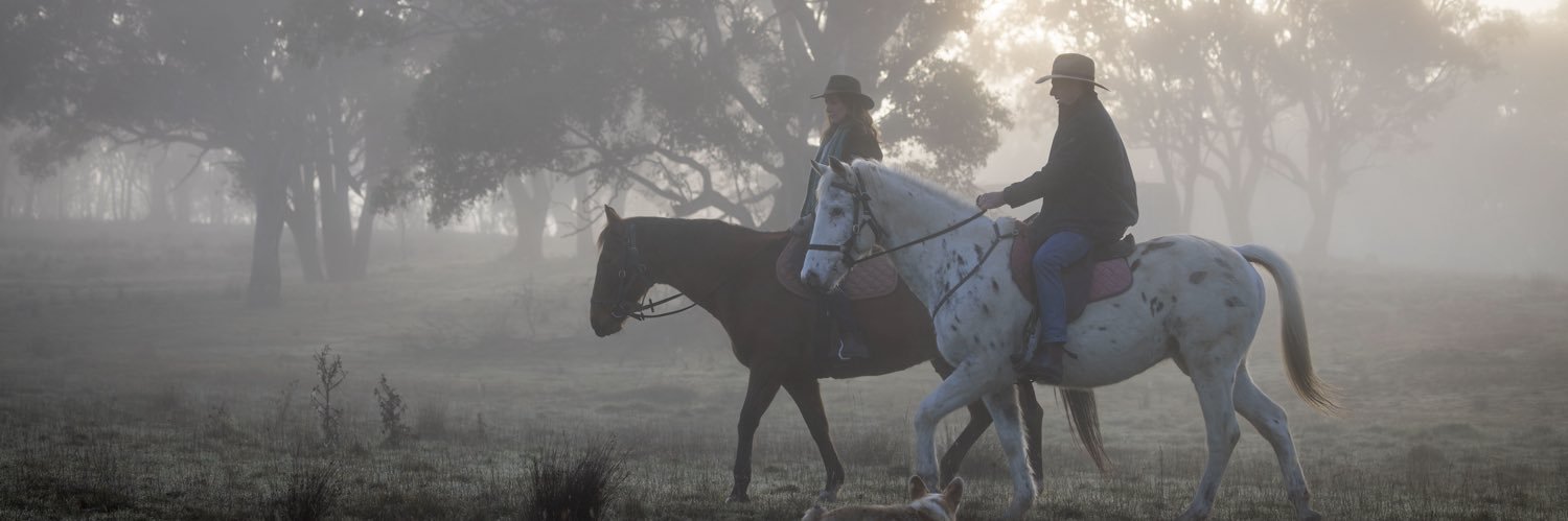 AngusTaylorMP's profile banner image