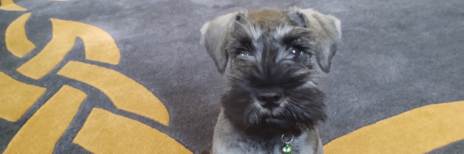 Oliver Holcomb banner