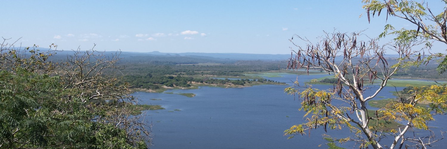 TsiMunetsi's profile banner image