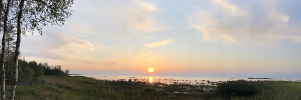 AnnePortaankorv Profile Banner