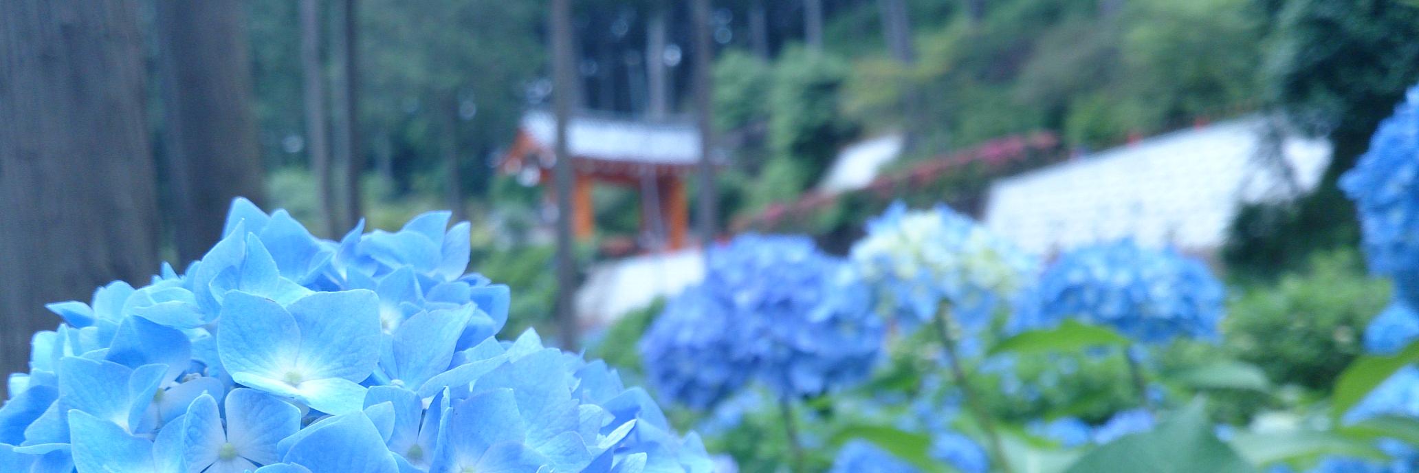 fuyuten's profile banner image