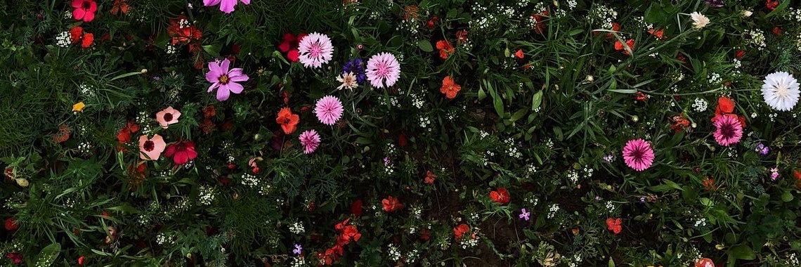 _emsszpara's profile banner image