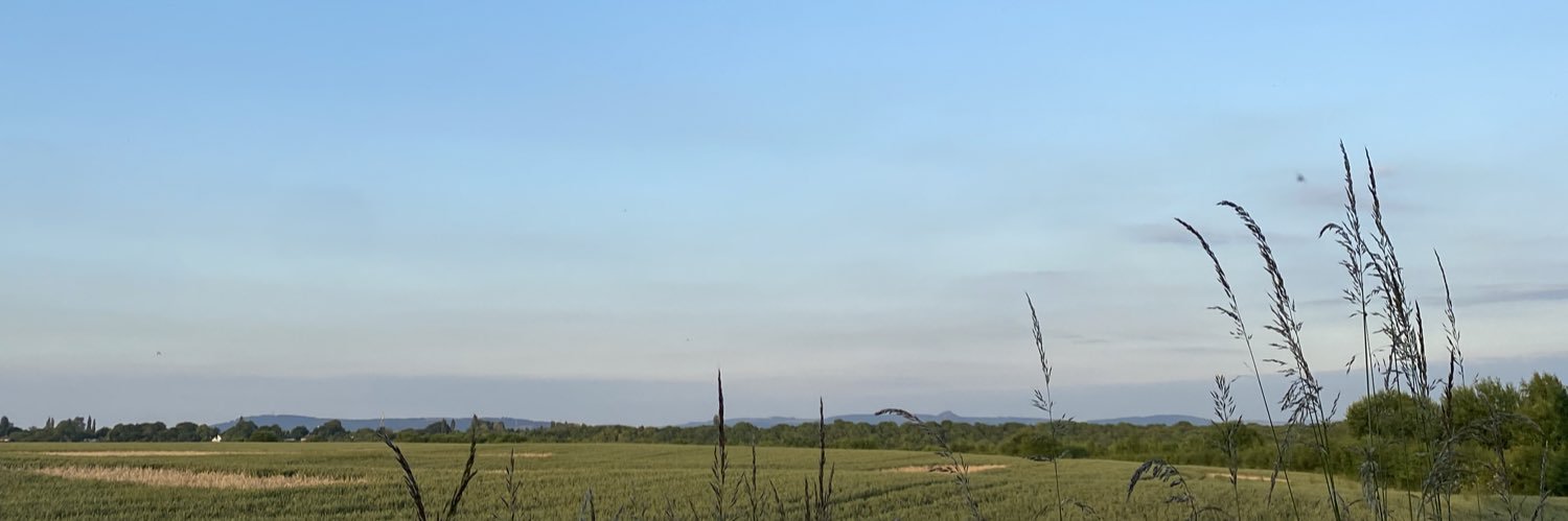 Megan Moffitt banner