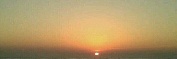 silfenix7 Profile Banner