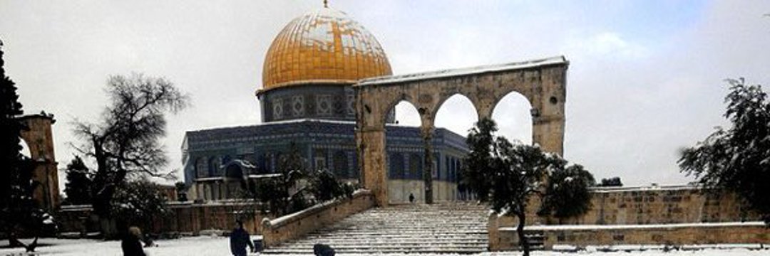 معين الكحلوت 🇵🇸 , من غزة 💔's banner