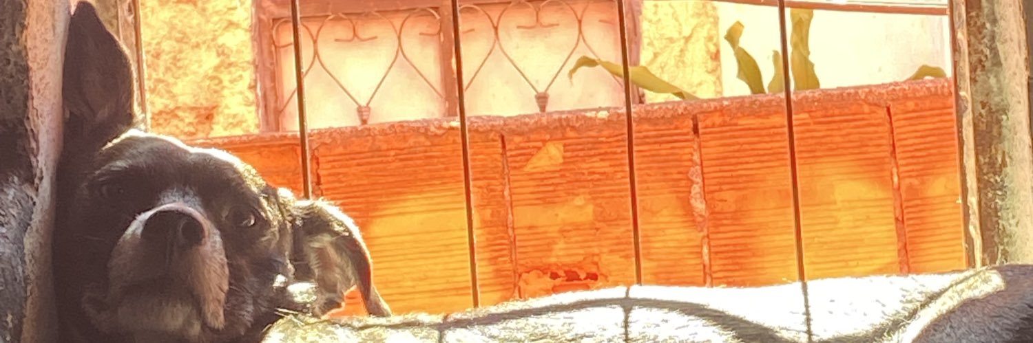 MENORVNDOLAZER's profile banner image
