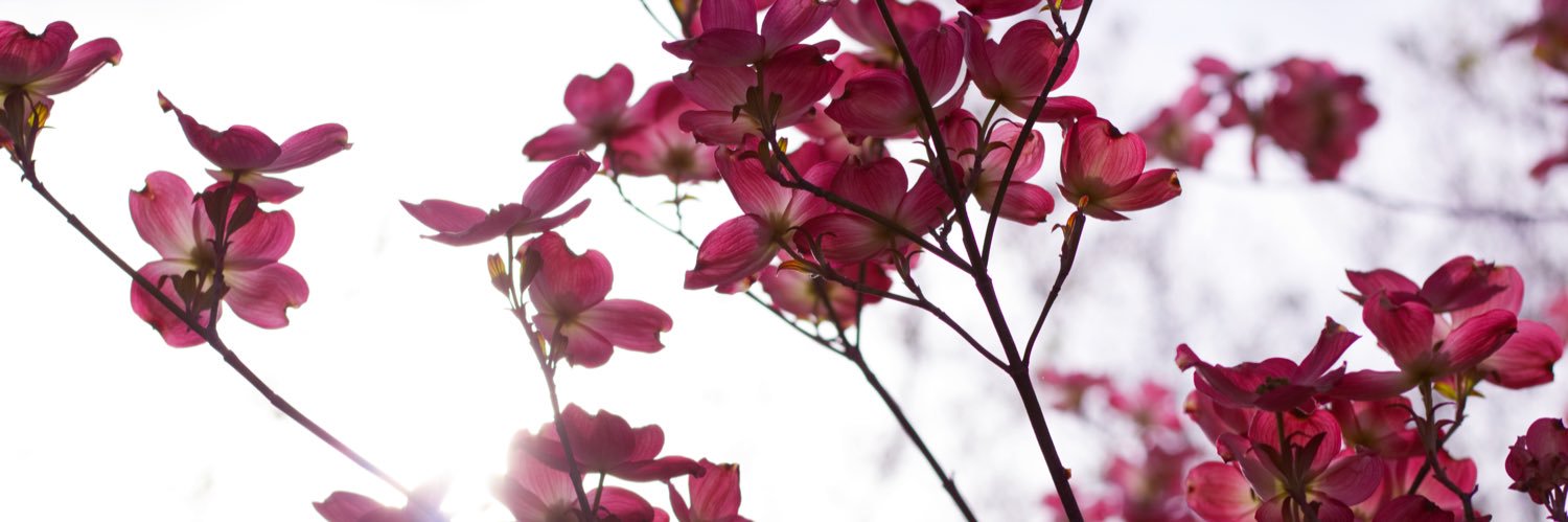 ErickFiorelli's profile banner image