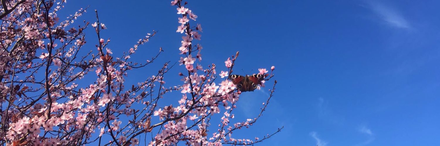 re_thomson's profile banner image