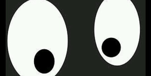1604Chico's profile banner image