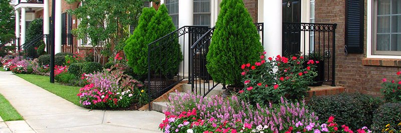 LandscapeTheft's profile banner image
