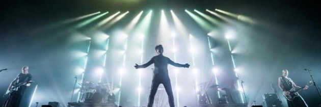 Berserkerwarrior banner