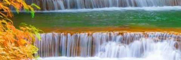 had__ee__l Profile Banner